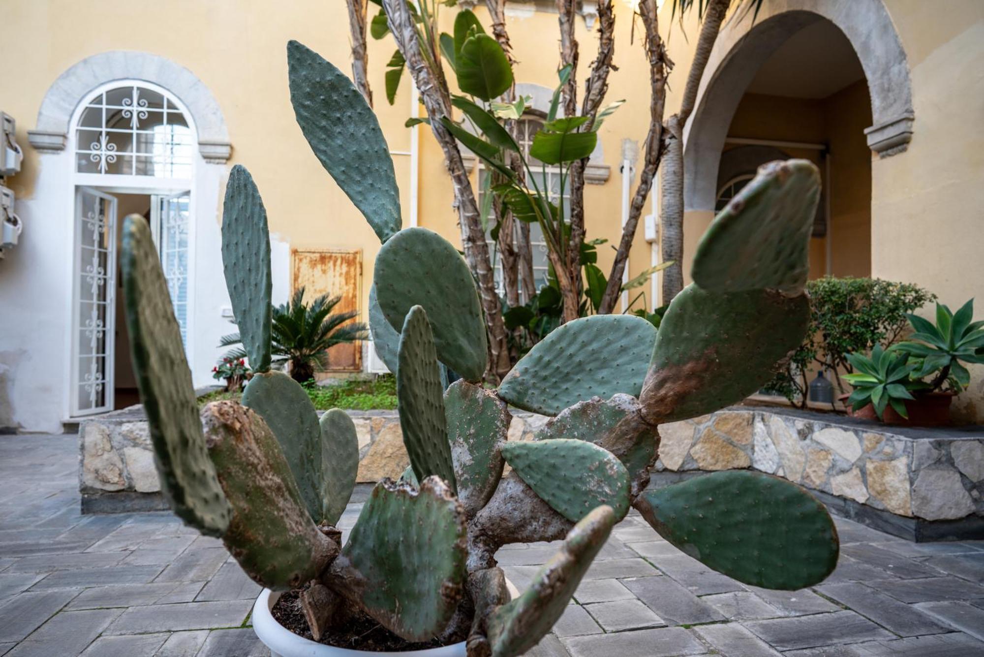 הוילה סירקוזה Casa Orchidea D'Oro מראה חיצוני תמונה
